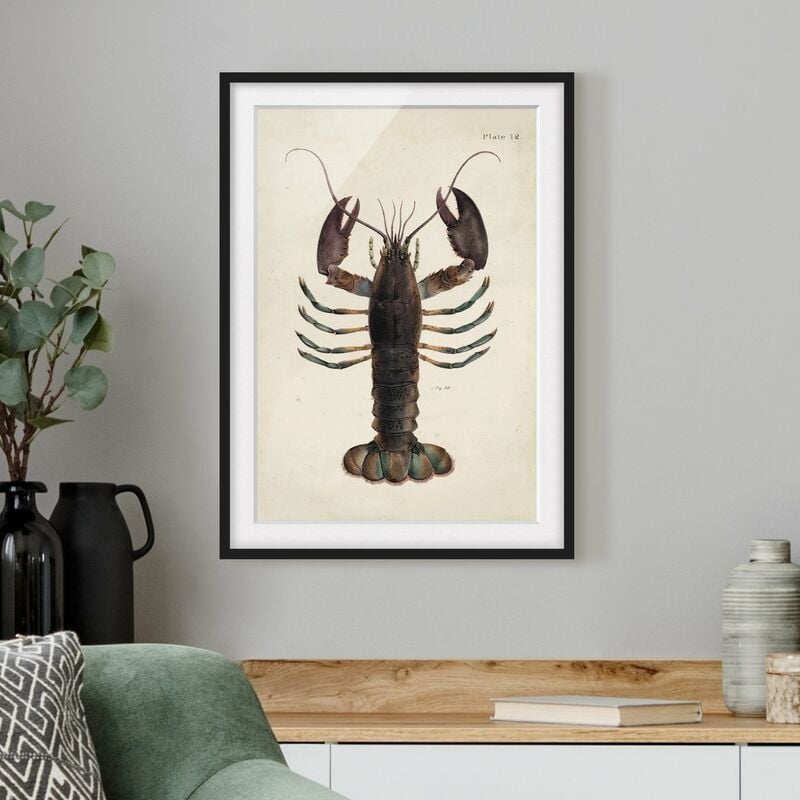 

Póster enmarcado - Vintage Illustrazione Lobster Dimensión LxA: 24cm x 18cm, Marco: Negro