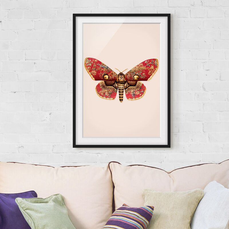 

Póster enmarcado - Vintage Moth Dimensión LxA: 70cm x 50cm, Marco: Negro