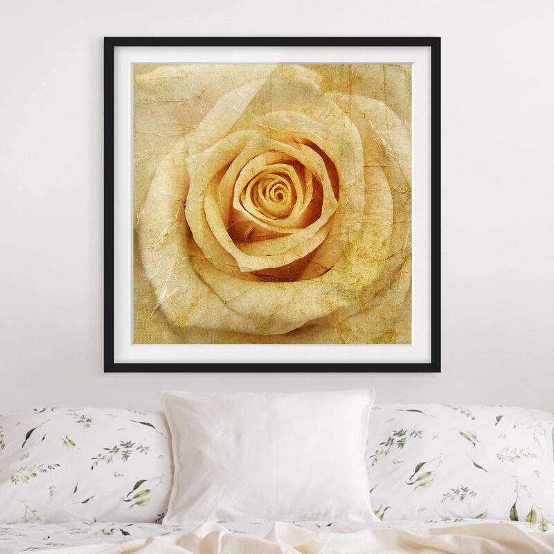 

Póster enmarcado - Vintage Rose Dimensión LxA: 20cm x 20cm, Marco: Negro