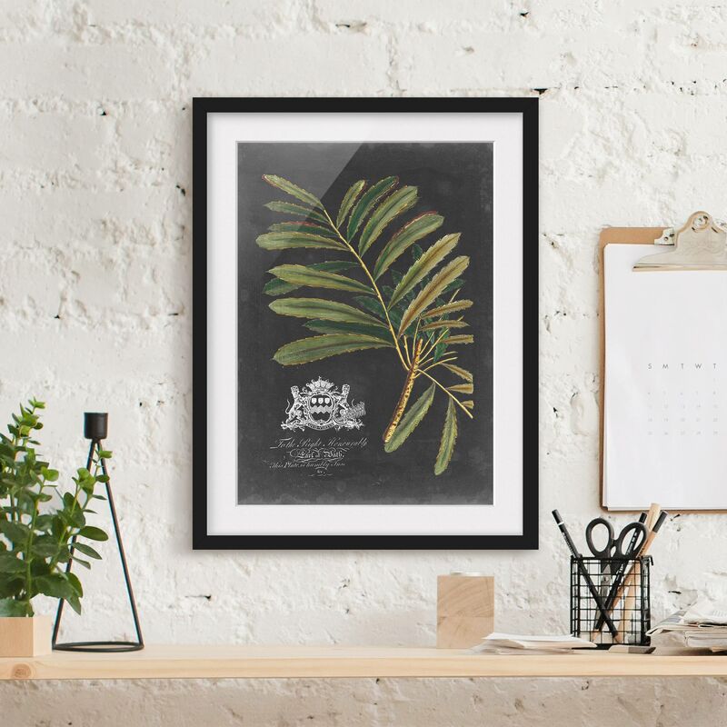 

Póster enmarcado - Vintage Royales foglie su fondo nero II Dimensión LxA: 100cm x 70cm, Marco: Negro