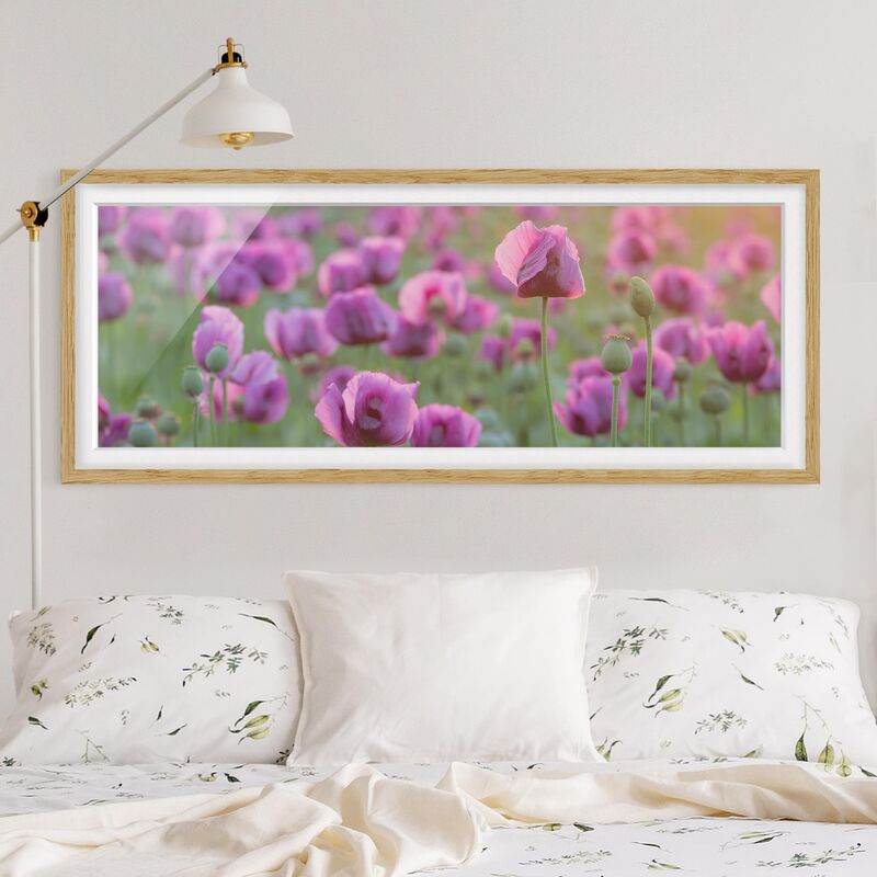 

Póster enmarcado - Viola Papavero Prato In Primavera Dimensión LxA: 50cm x 130cm, Marco: Roble