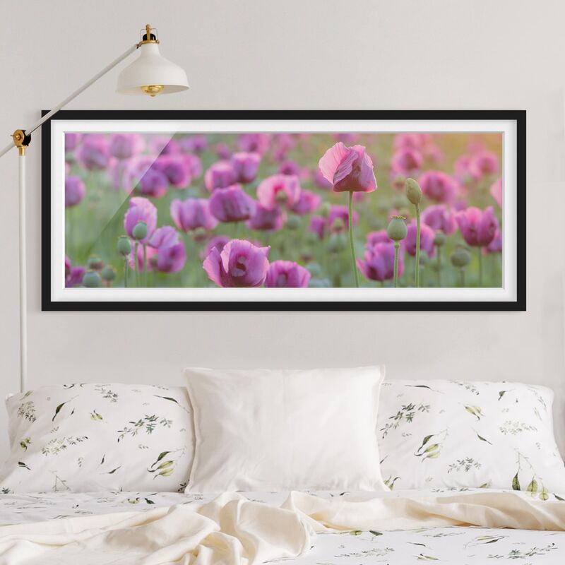 

Póster enmarcado - Viola Papavero Prato In Primavera Dimensión LxA: 40cm x 100cm, Marco: Negro