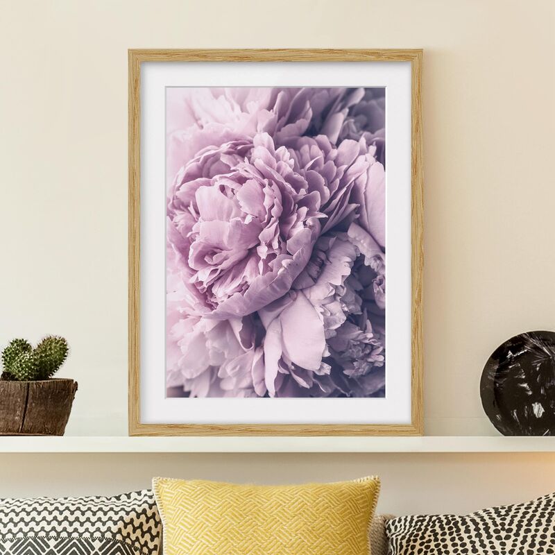 

Póster enmarcado - Viola Peony Blossoms Dimensión LxA: 55cm x 40cm, Marco: Roble