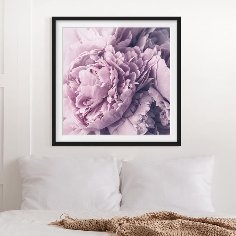 

Póster enmarcado - Viola Peony Blossoms Dimensión LxA: 20cm x 20cm, Marco: Negro