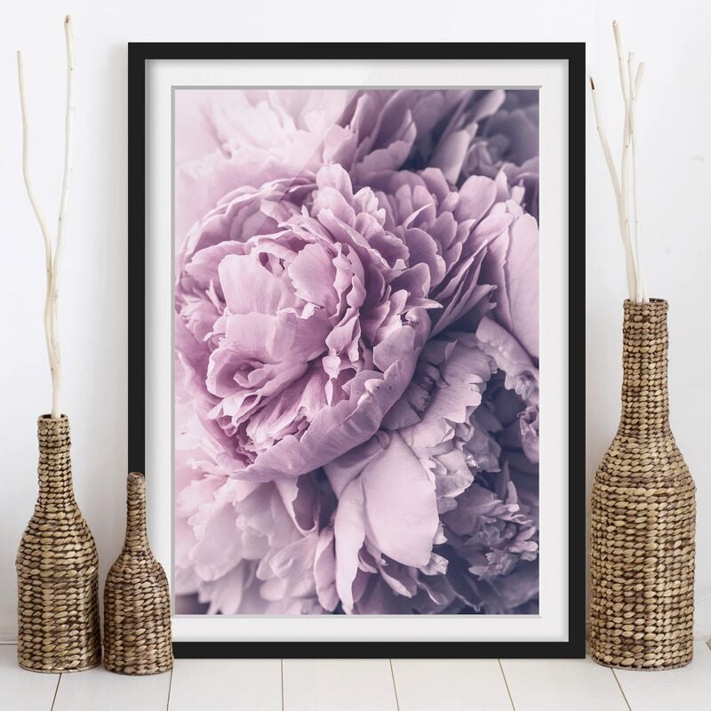 

Póster enmarcado - Viola Peony Blossoms Dimensión LxA: 24cm x 18cm, Marco: Negro