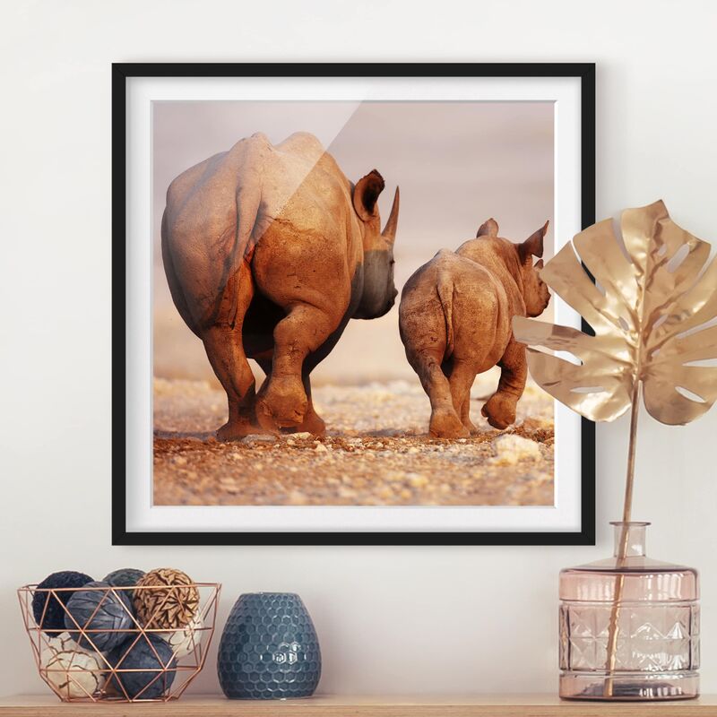 

Póster enmarcado - Wandering Rhinos Dimensión LxA: 70cm x 70cm, Marco: Negro