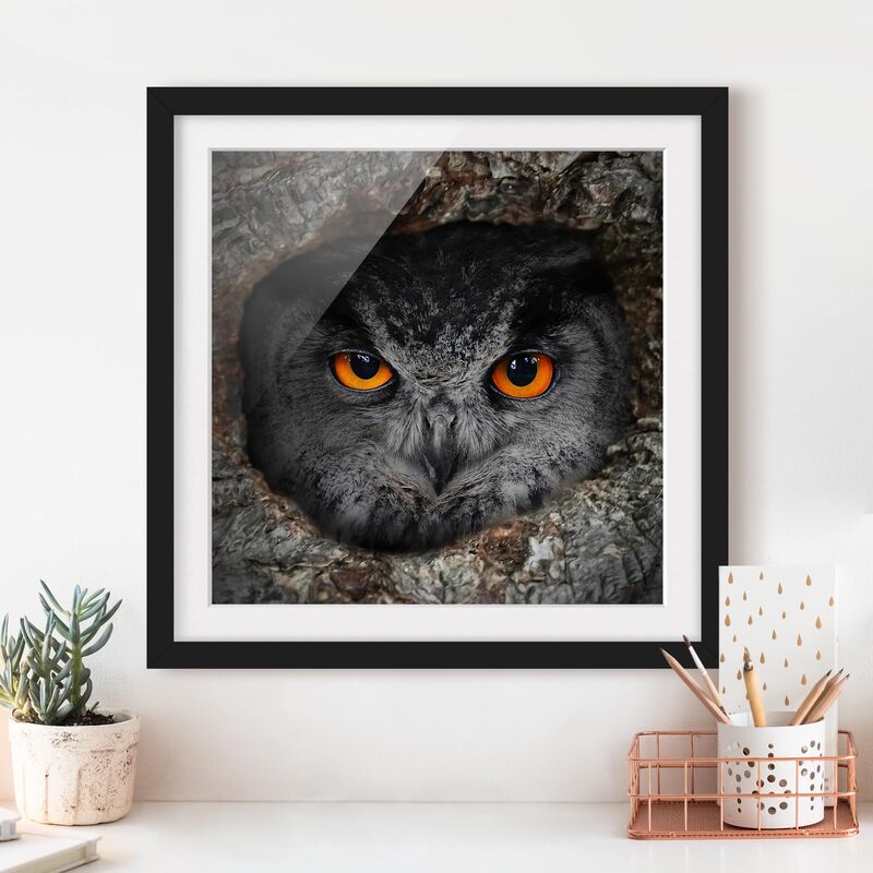 

Póster enmarcado - Watching Owl Dimensión LxA: 30cm x 30cm, Marco: Negro