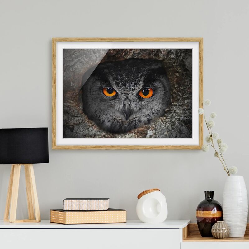 

Póster enmarcado - Watching Owl Dimensión LxA: 40cm x 55cm, Marco: Roble