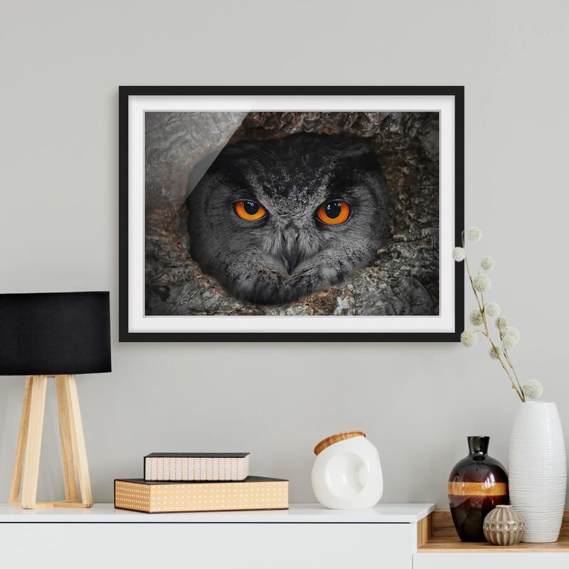 

Póster enmarcado - Watching Owl Dimensión LxA: 18cm x 24cm, Marco: Negro