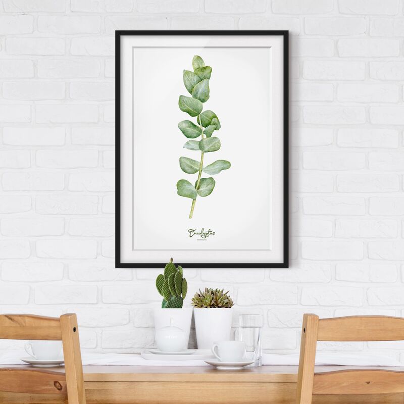 

Póster enmarcado - Watercolor Botany Eucalyptus Dimensión LxA: 70cm x 50cm, Marco: Negro