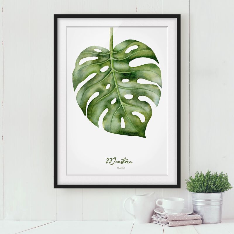 

Póster enmarcado - Watercolor Botany Monstera Dimensión LxA: 24cm x 18cm, Marco: Negro