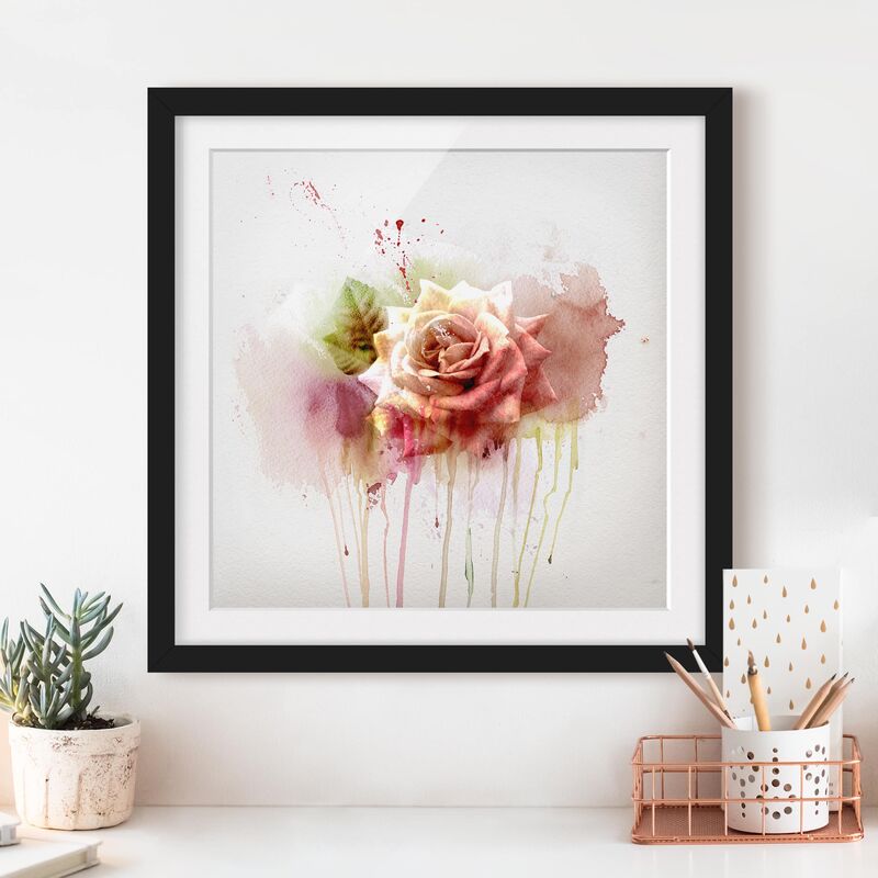 

Póster enmarcado - Watercolor Rose Dimensión LxA: 30cm x 30cm, Marco: Negro