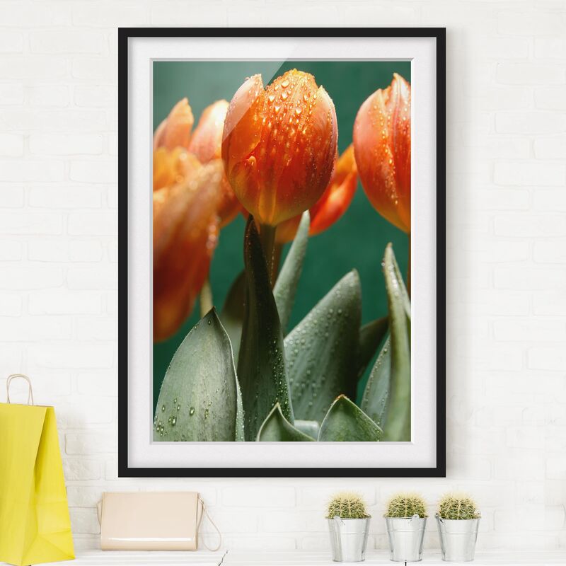 

Póster enmarcado - We Are Tulip Dimensión LxA: 40cm x 30cm, Marco: Negro