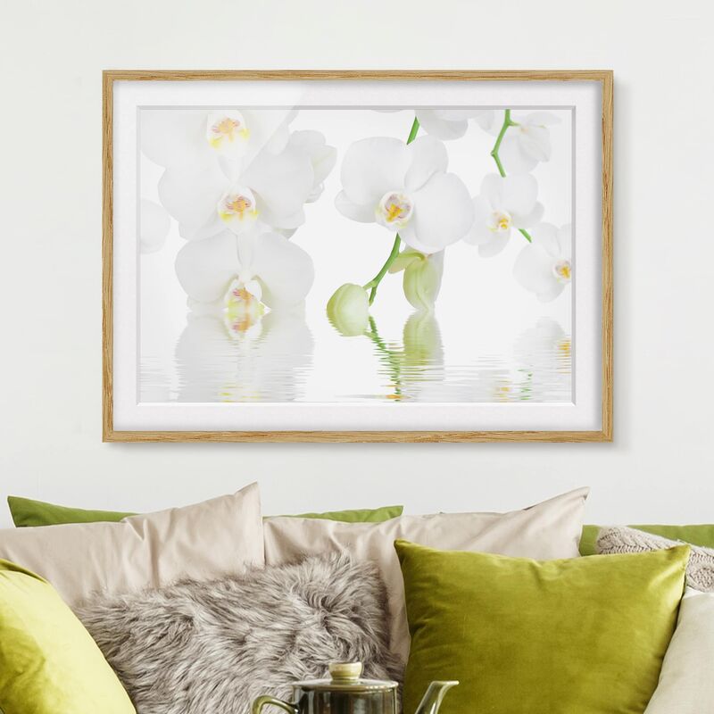 

Póster enmarcado - Wellness Orchid - White Orchid Dimensión LxA: 40cm x 55cm, Marco: Roble