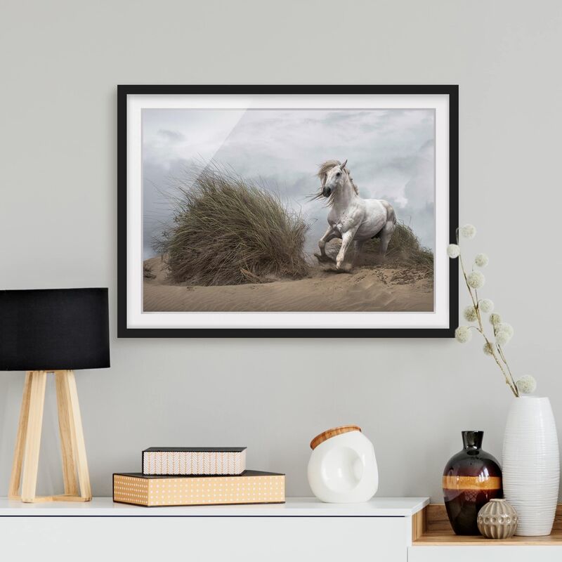 

Póster enmarcado - White Horse In The Dunes Dimensión LxA: 40cm x 55cm, Marco: Negro