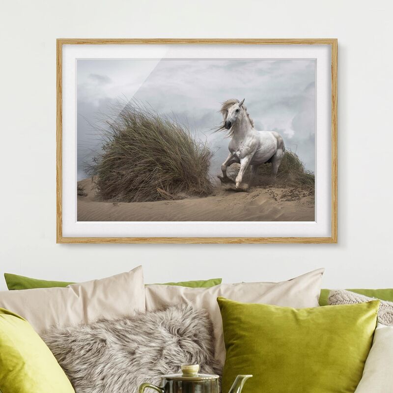 

Póster enmarcado - White Horse In The Dunes Dimensión LxA: 40cm x 55cm, Marco: Roble