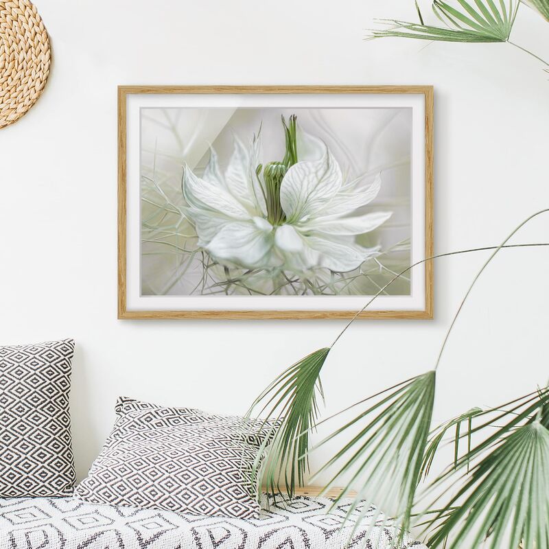 

Póster enmarcado - White Nigella Dimensión LxA: 50cm x 70cm, Marco: Roble