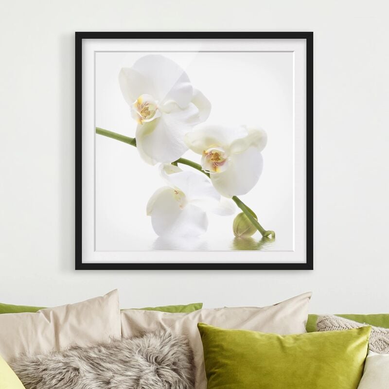 

Póster enmarcado - White Orchid Waters Dimensión LxA: 30cm x 30cm, Marco: Negro