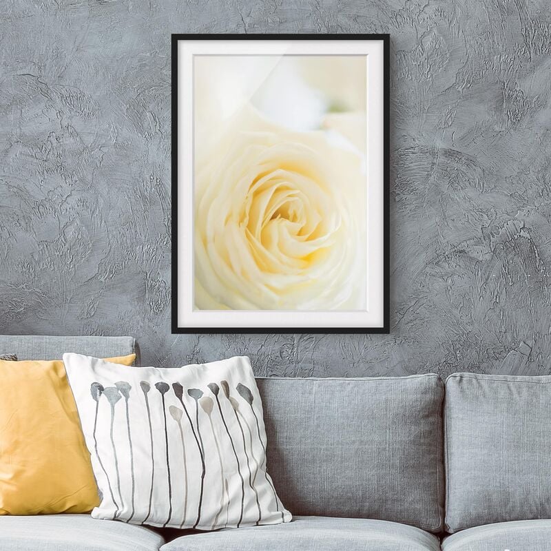 

Póster enmarcado - White Rose Dimensión LxA: 40cm x 30cm, Marco: Negro
