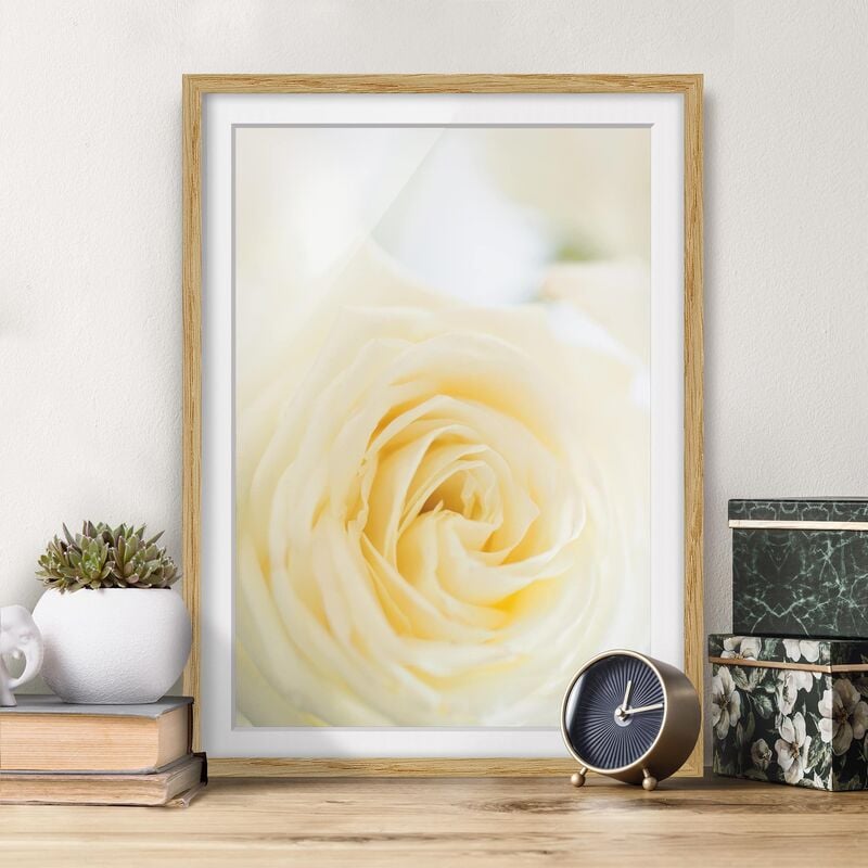 

Póster enmarcado - White Rose Dimensión LxA: 24cm x 18cm, Marco: Roble