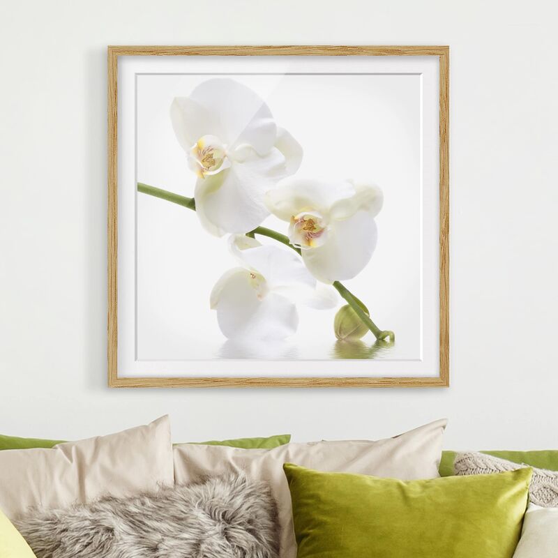 

Póster enmarcado - White Orchid Waters Dimensión LxA: 70cm x 70cm, Marco: Roble