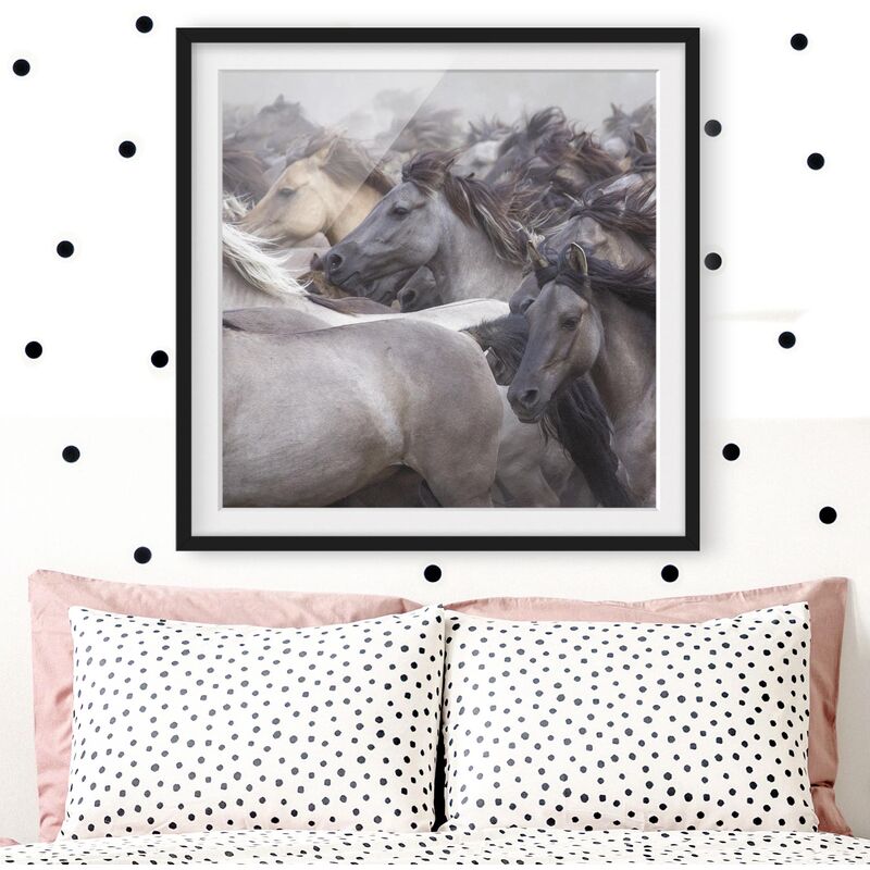 

Póster enmarcado - Wild Horses Dimensión LxA: 50cm x 50cm, Marco: Negro