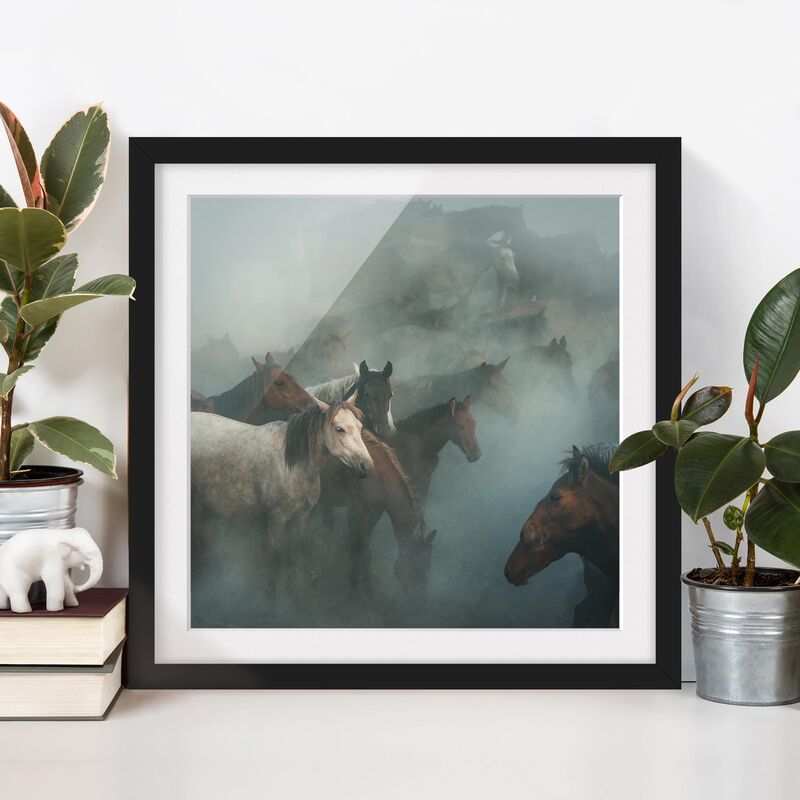 

Póster enmarcado - Wild Horses Dimensión LxA: 70cm x 70cm, Marco: Negro