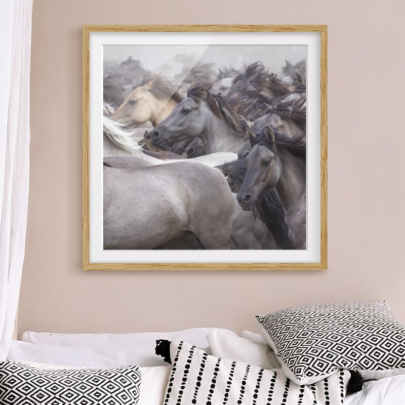 

Póster enmarcado - Wild Horses Dimensión LxA: 30cm x 30cm, Marco: Roble