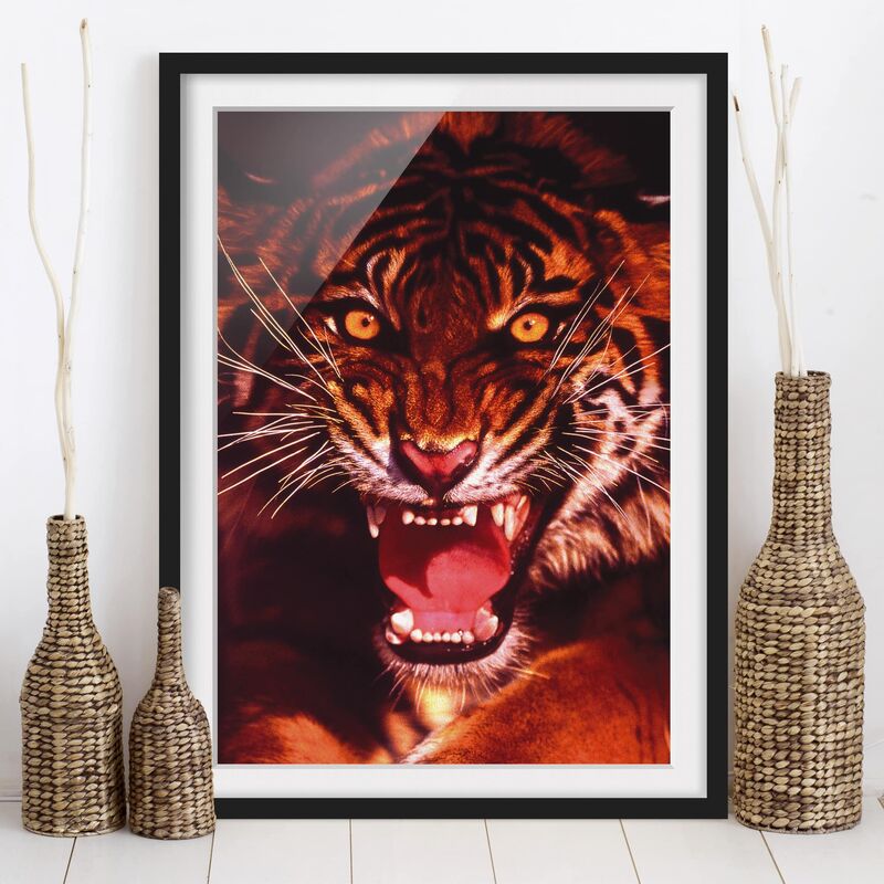 

Póster enmarcado - Wild Tiger Dimensión LxA: 70cm x 50cm, Marco: Negro