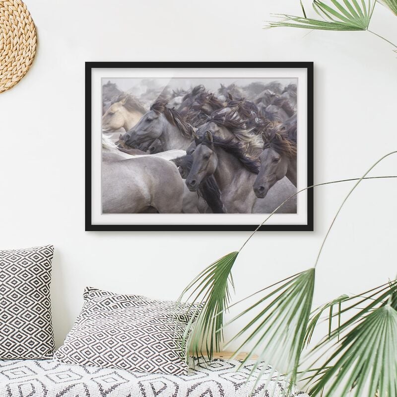 

Póster enmarcado - Wild Horses Dimensión LxA: 40cm x 55cm, Marco: Negro