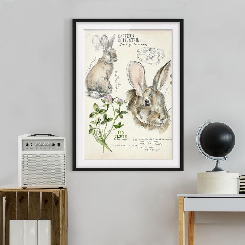 

Póster enmarcado - Wilderness Journal - Coniglio Dimensión LxA: 100cm x 70cm, Marco: Negro