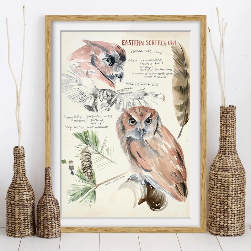 

Póster enmarcado - Wilderness Journal - Owl Dimensión LxA: 24cm x 18cm, Marco: Roble
