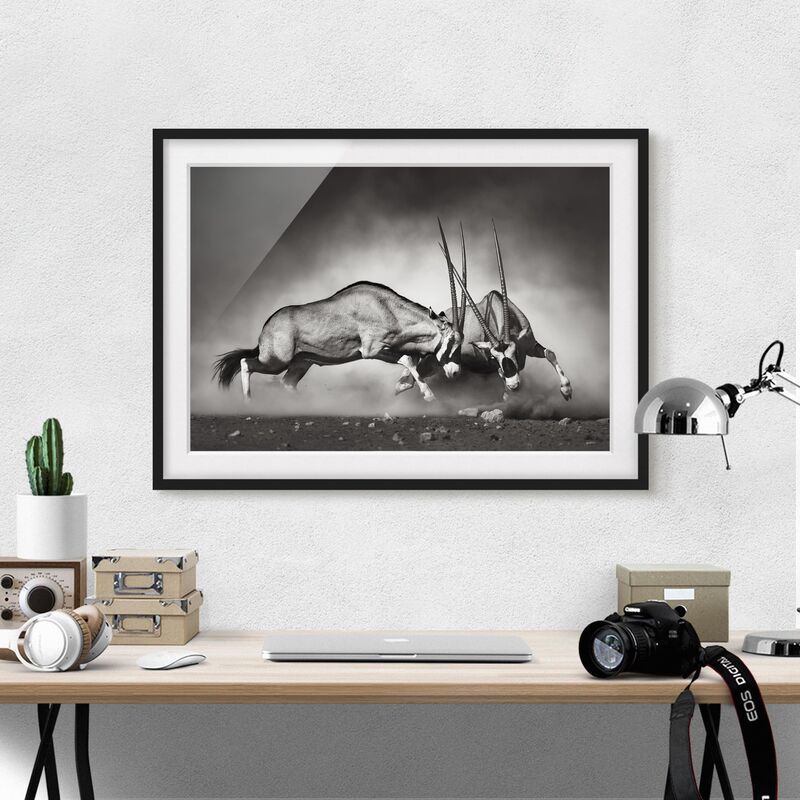 

Póster enmarcado - Wildlife Battle Dimensión LxA: 18cm x 24cm, Marco: Negro