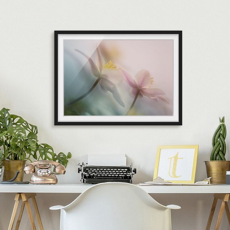 

Póster enmarcado - Windflower Dimensión LxA: 30cm x 40cm, Marco: Negro