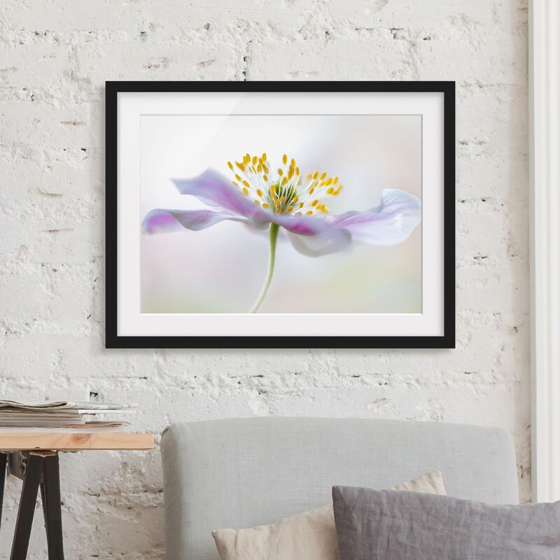 

Póster enmarcado - Windflower In White Dimensión LxA: 18cm x 24cm, Marco: Negro