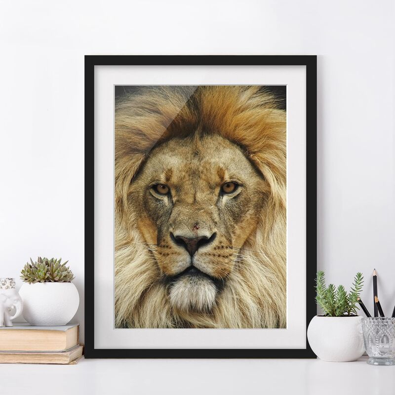 

Póster enmarcado - Wisdom Of Lion Dimensión LxA: 55cm x 40cm, Marco: Negro