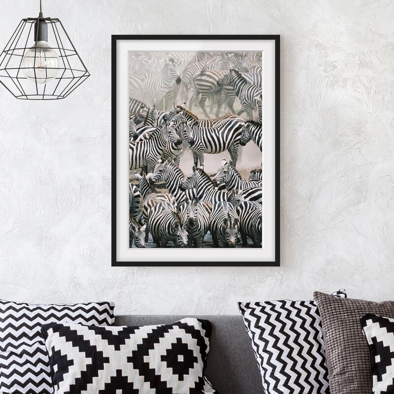 

Póster enmarcado - Zebra Herd Dimensión LxA: 40cm x 30cm, Marco: Negro