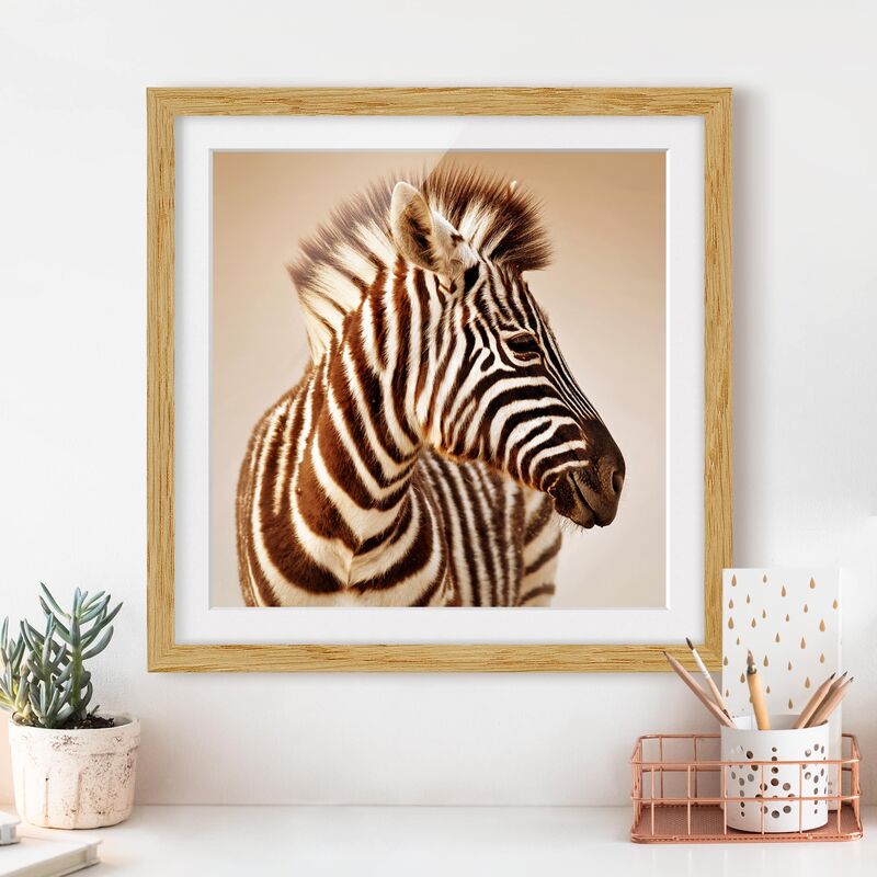 

Póster enmarcado - Zebra Baby Portrait Dimensión LxA: 50cm x 50cm, Marco: Roble