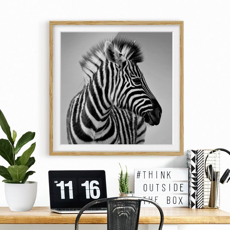 

Póster enmarcado - Zebra Baby Portrait II Dimensión LxA: 30cm x 30cm, Marco: Roble
