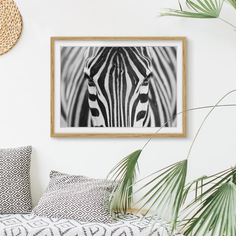 

Póster enmarcado - Zebra Look Dimensión LxA: 40cm x 55cm, Marco: Roble