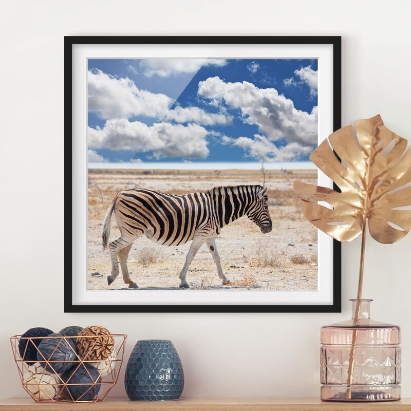 

Póster enmarcado - Zebra In The Savannah Dimensión LxA: 30cm x 30cm, Marco: Negro