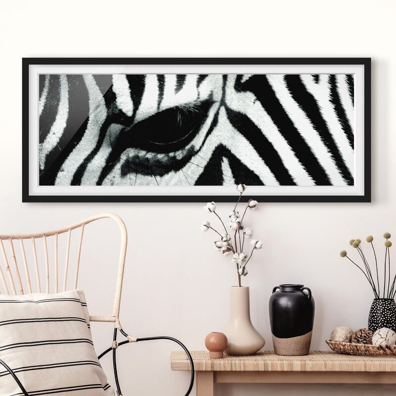 

Póster enmarcado - Zebra Dimensión LxA: 50cm x 130cm, Marco: Negro