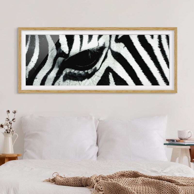 

Póster enmarcado - Zebra Dimensión LxA: 50cm x 130cm, Marco: Roble