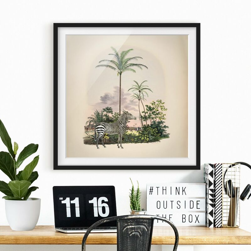 

Póster enmarcado - Zebra Davanti Palme Illustrazione Dimensión LxA: 50cm x 50cm, Marco: Negro