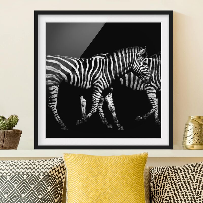 

Póster enmarcado - Zebra In The Dark Dimensión LxA: 20cm x 20cm, Marco: Negro