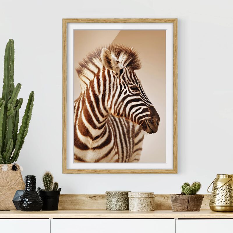 

Póster enmarcado - Zebra Baby Portrait Dimensión LxA: 40cm x 30cm, Marco: Roble
