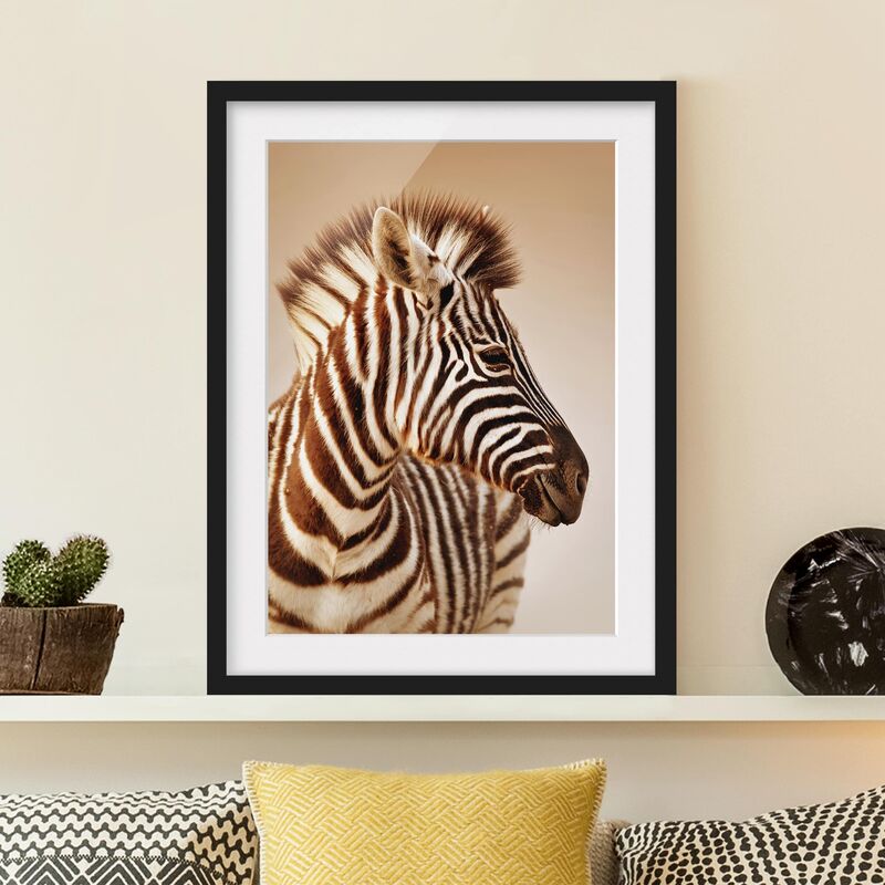 

Póster enmarcado - Zebra Baby Portrait Dimensión LxA: 70cm x 50cm, Marco: Negro