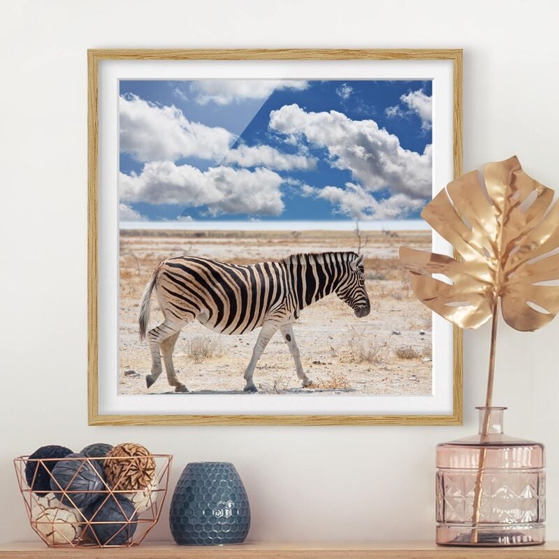 

Póster enmarcado - Zebra In The Savannah Dimensión LxA: 70cm x 70cm, Marco: Roble