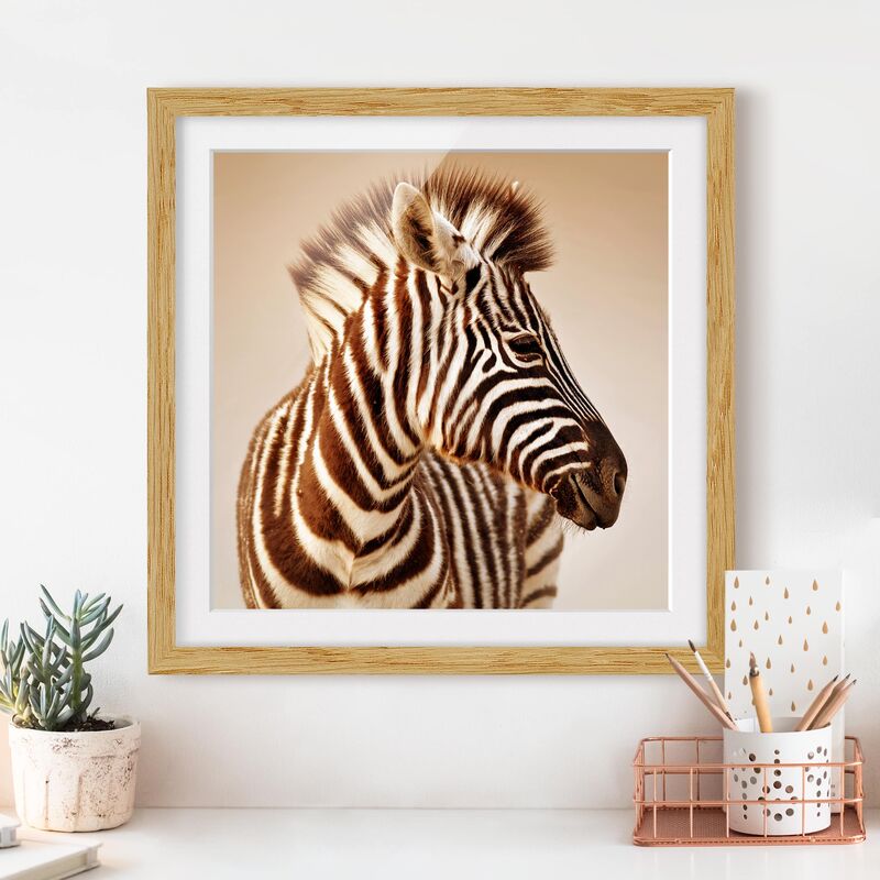 

Póster enmarcado - Zebra Baby Portrait Dimensión LxA: 30cm x 30cm, Marco: Roble