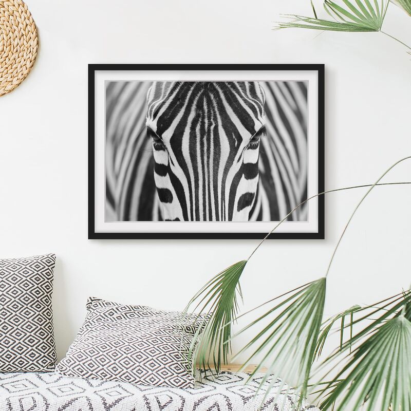 

Póster enmarcado - Zebra Look Dimensión LxA: 50cm x 70cm, Marco: Negro